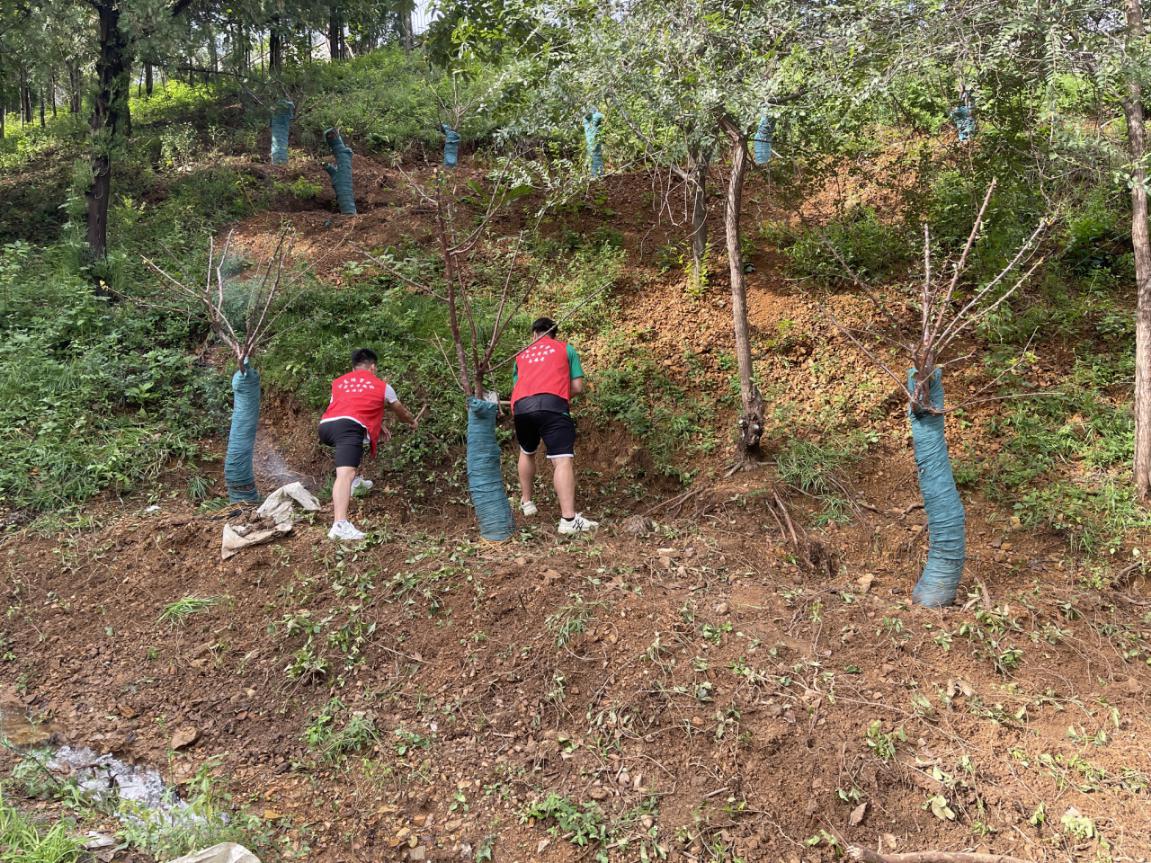 球友体育核心通道